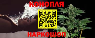 твердый Бийск