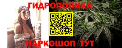 spice Беслан