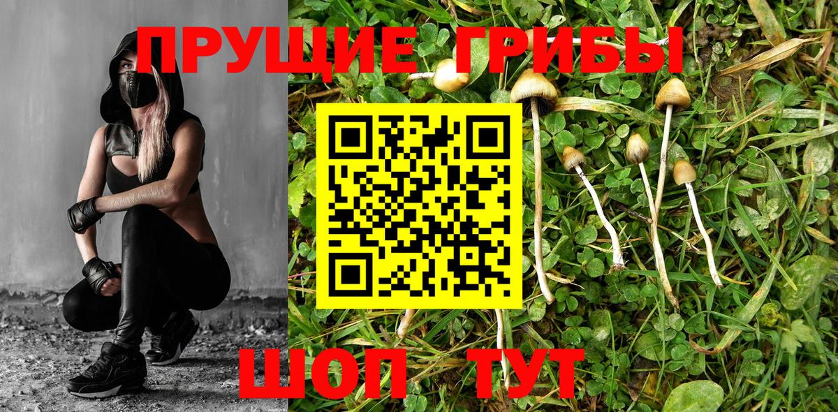 Галлюциногенные грибы мицелий Кимры