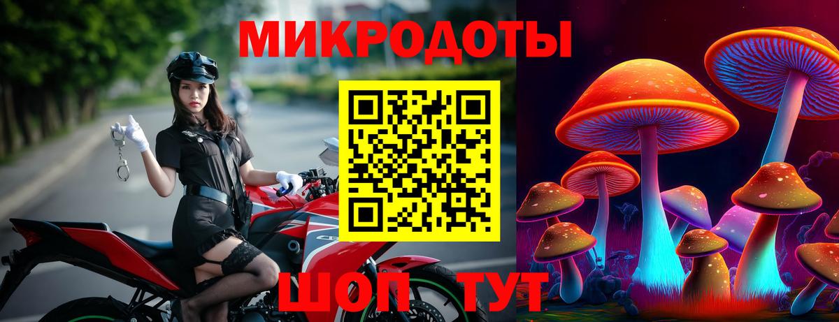 Псилоцибиновые грибы Psilocybine cubensis  Вход с VPN  Кимры 